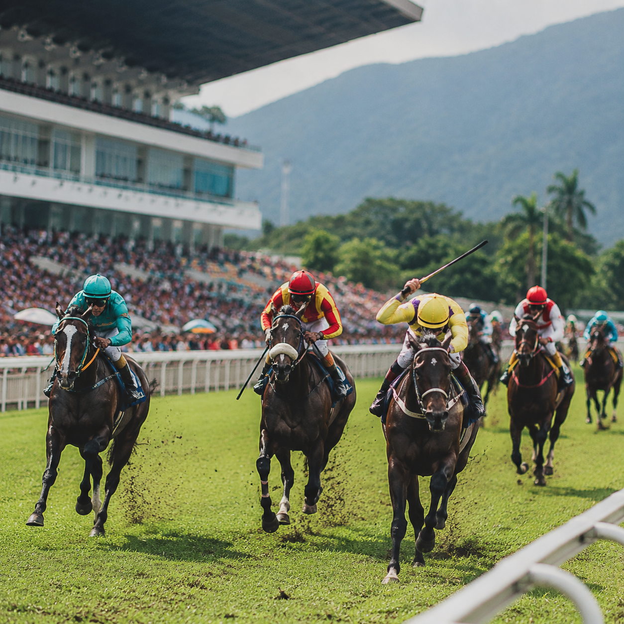 Horse racing at Penang Turf Club, jockeys and horses at finish line, grandstand crowd, tropical daylight